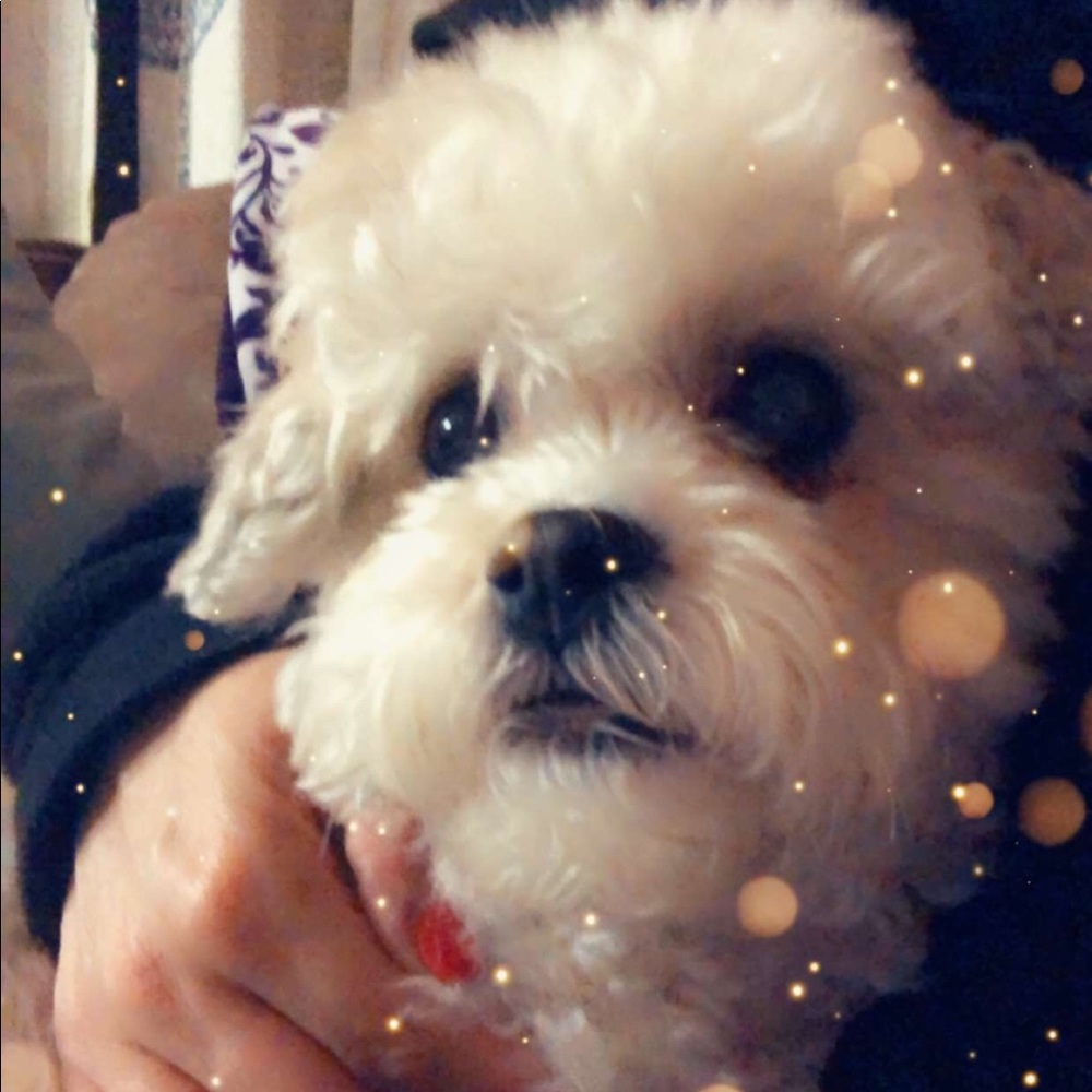 Meet your Posher, Tonya